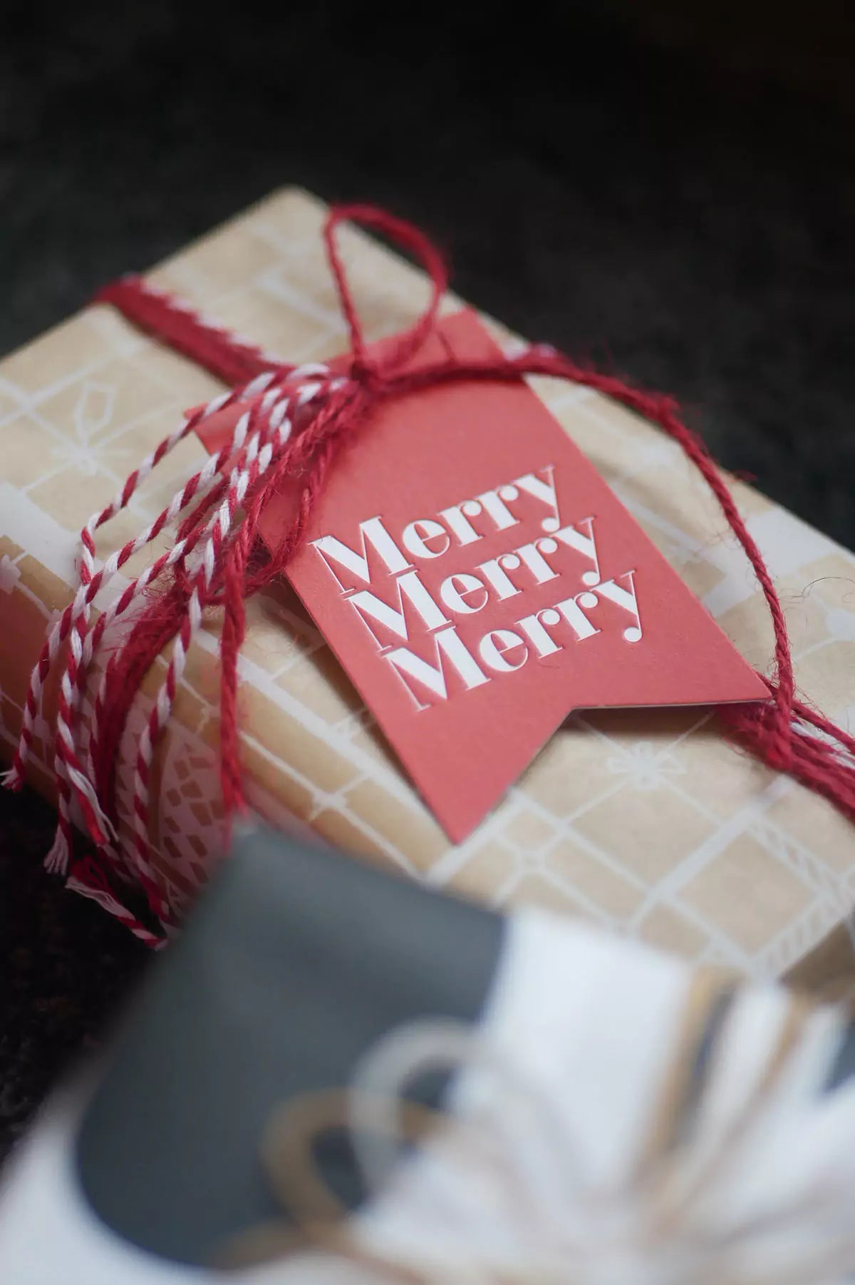 Holiday Assorted Tag